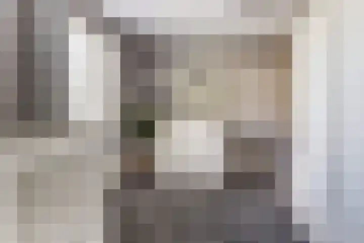 Gele Varaan 30 Heerhugowaard thumbnail 28