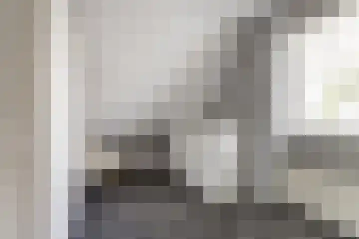 Gele Varaan 30 Heerhugowaard thumbnail 29