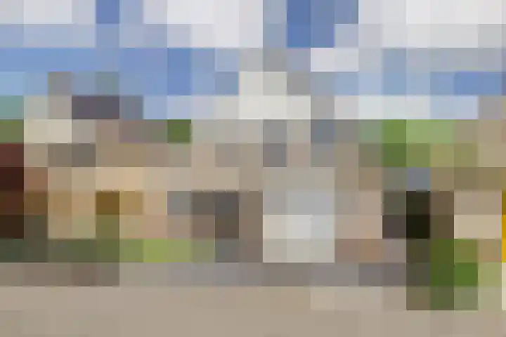 Gele Varaan 30 Heerhugowaard foto 3
