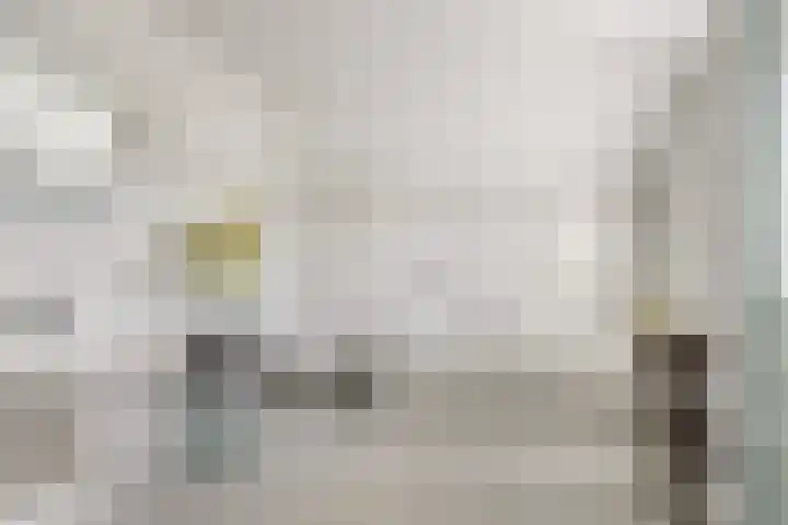 Gele Varaan 30 Heerhugowaard thumbnail 32