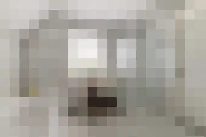 Gele Varaan 30 Heerhugowaard thumbnail 33