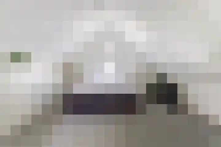 Gele Varaan 30 Heerhugowaard thumbnail 35