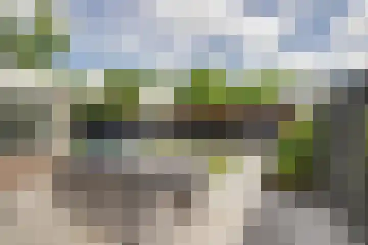 Gele Varaan 30 Heerhugowaard thumbnail 36