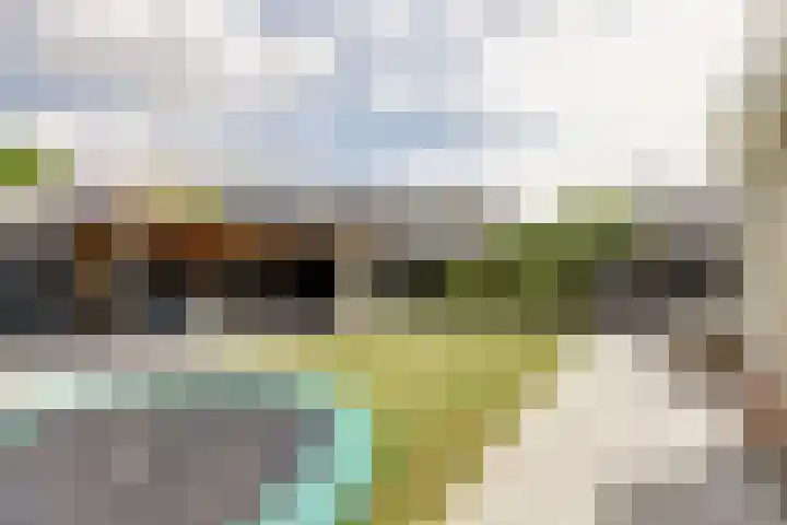 Gele Varaan 30 Heerhugowaard thumbnail 37