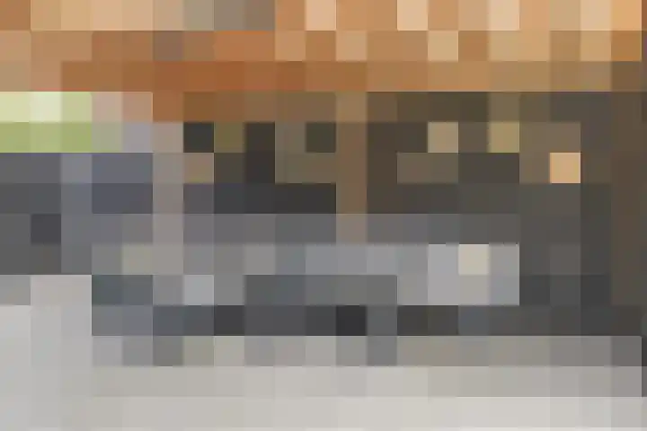 Gele Varaan 30 Heerhugowaard thumbnail 38