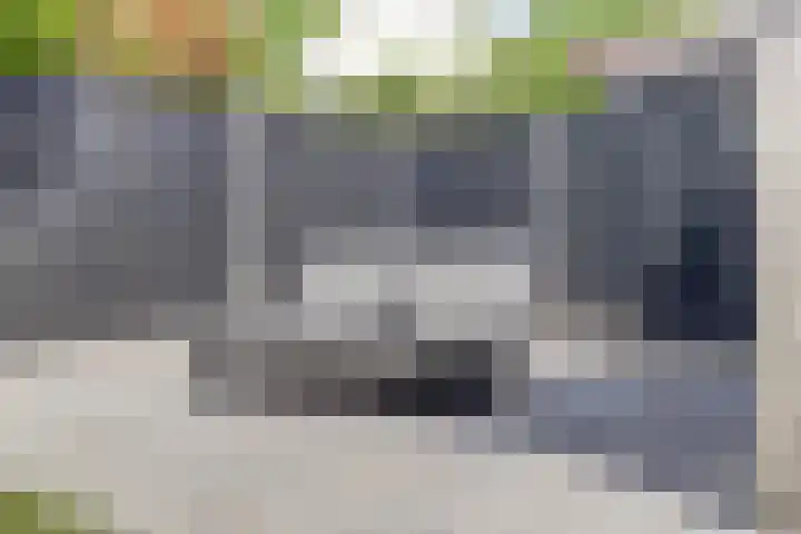 Gele Varaan 30 Heerhugowaard thumbnail 39