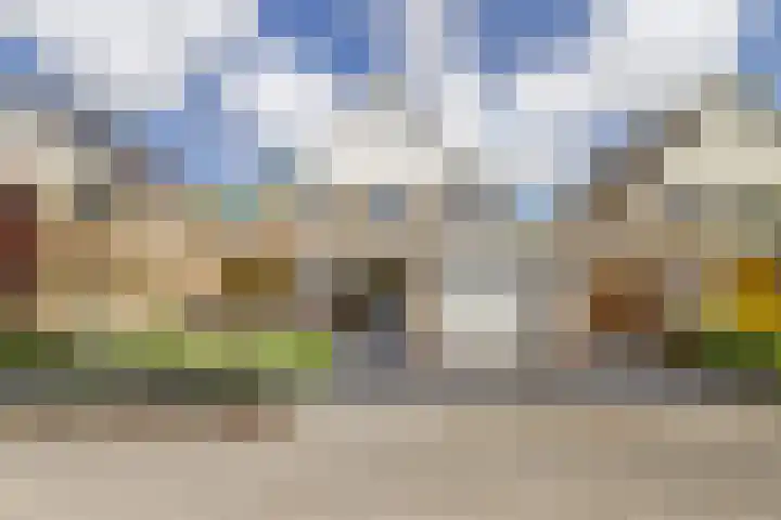 Gele Varaan 30 Heerhugowaard thumbnail 4