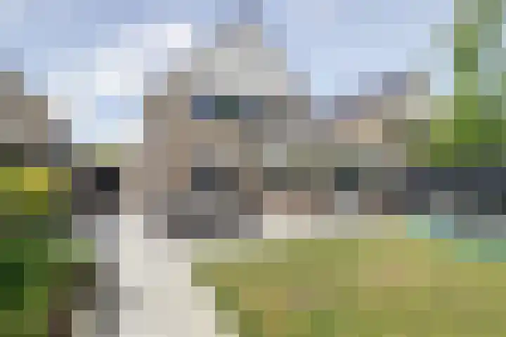 Gele Varaan 30 Heerhugowaard thumbnail 40
