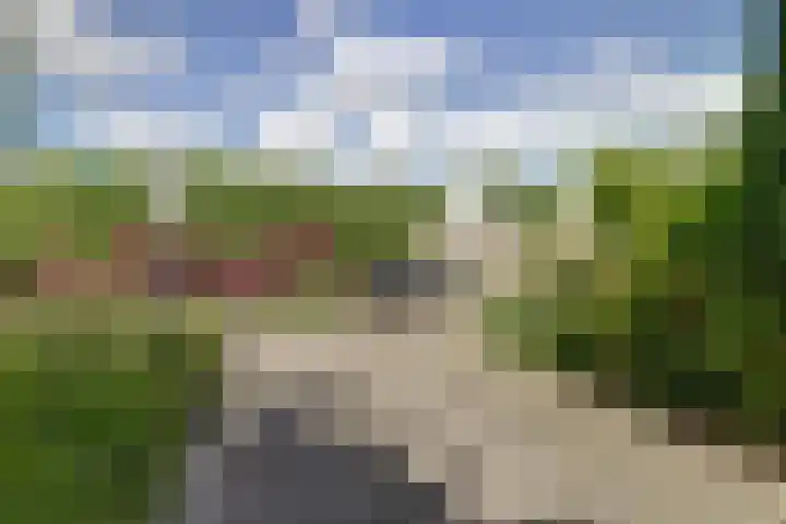 Gele Varaan 30 Heerhugowaard thumbnail 42