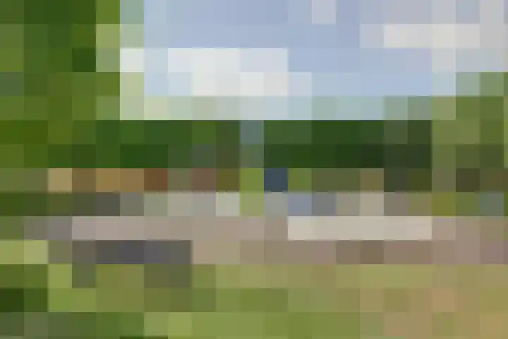 Gele Varaan 30 Heerhugowaard thumbnail 43