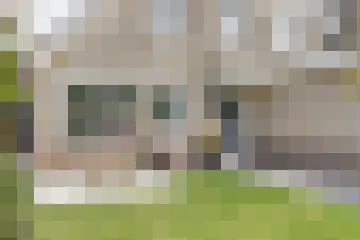 Gele Varaan 30 Heerhugowaard thumbnail 5