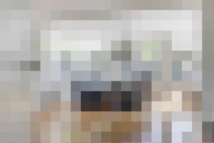 Gele Varaan 30 Heerhugowaard thumbnail 7