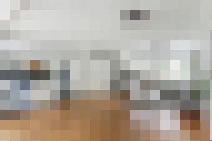 Gele Varaan 30 Heerhugowaard thumbnail 8