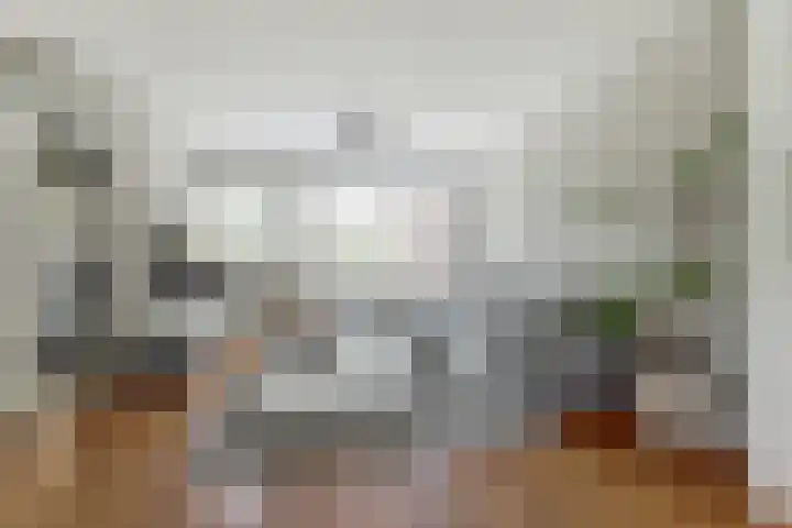 Gele Varaan 30 Heerhugowaard thumbnail 9