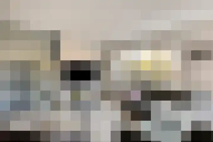 Gele Varaan 37 Heerhugowaard thumbnail 10