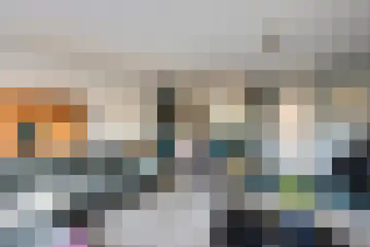 Gele Varaan 37 Heerhugowaard thumbnail 11
