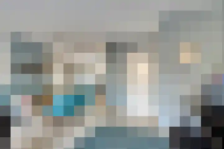 Gele Varaan 37 Heerhugowaard thumbnail 12