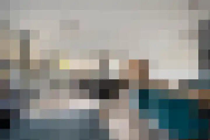 Gele Varaan 37 Heerhugowaard thumbnail 13