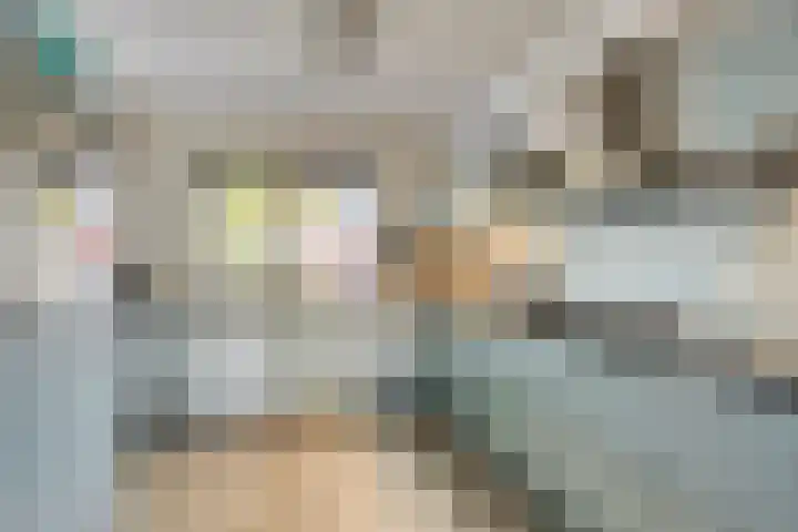 Gele Varaan 37 Heerhugowaard thumbnail 15
