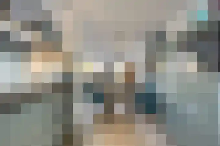 Gele Varaan 37 Heerhugowaard thumbnail 16