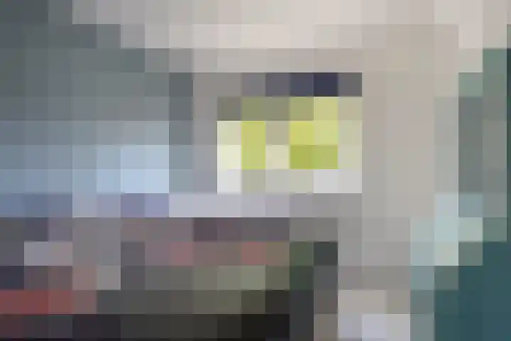 Gele Varaan 37 Heerhugowaard thumbnail 20