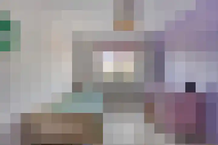 Gele Varaan 37 Heerhugowaard thumbnail 22
