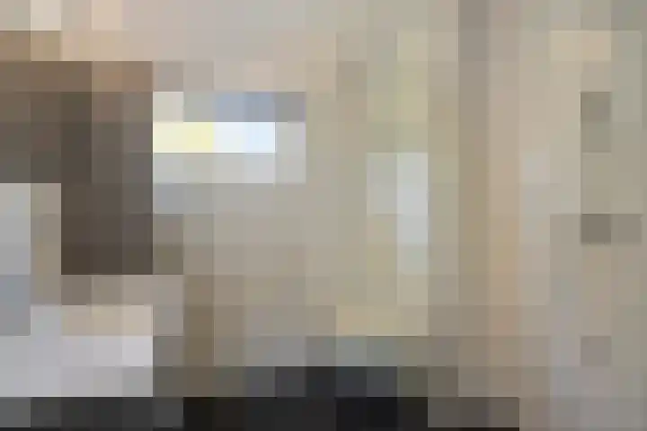 Gele Varaan 37 Heerhugowaard thumbnail 25
