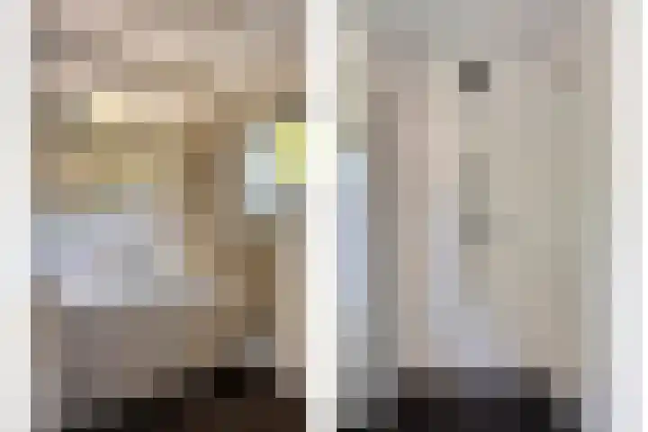 Gele Varaan 37 Heerhugowaard thumbnail 26