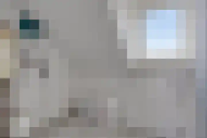 Gele Varaan 37 Heerhugowaard thumbnail 28