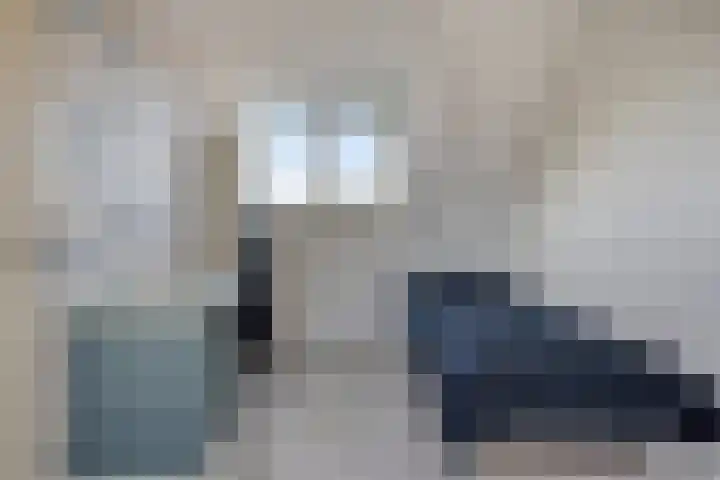 Gele Varaan 37 Heerhugowaard thumbnail 29