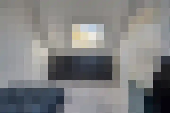 Gele Varaan 37 Heerhugowaard thumbnail 30