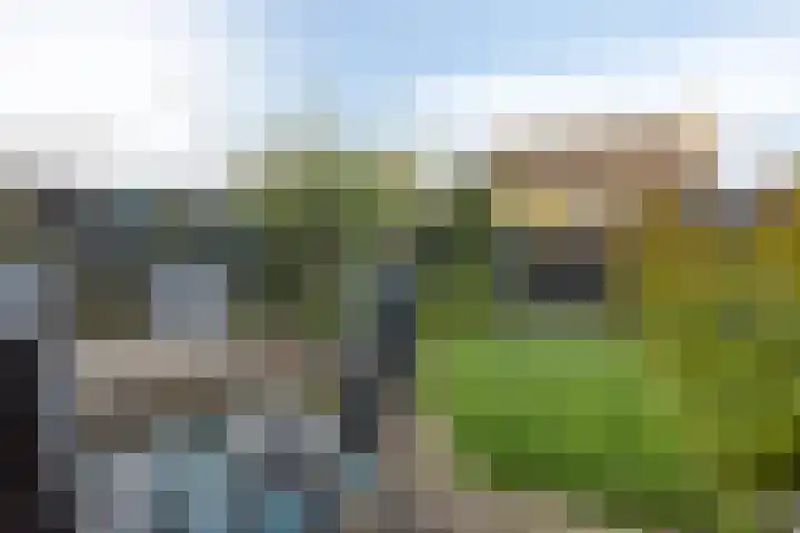 Gele Varaan 37 Heerhugowaard thumbnail 31