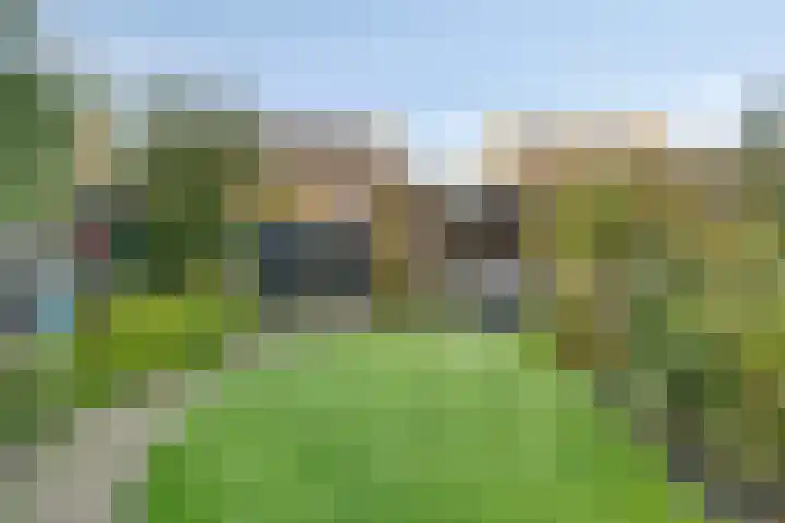 Gele Varaan 37 Heerhugowaard thumbnail 32