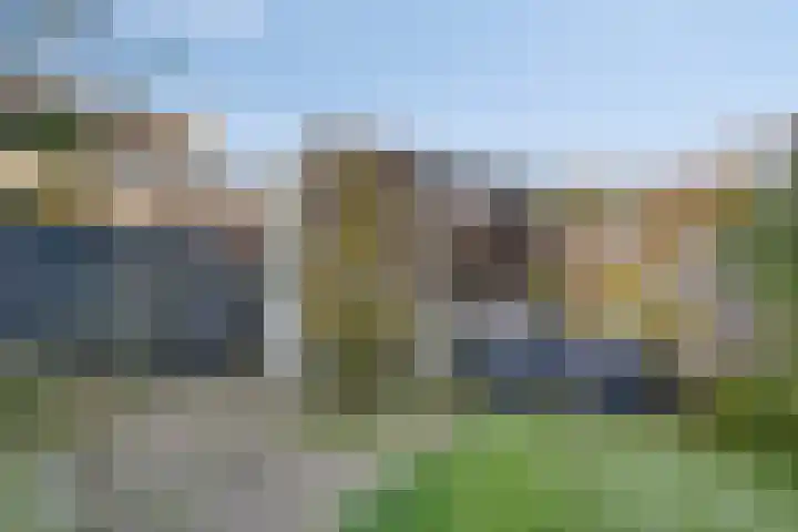 Gele Varaan 37 Heerhugowaard thumbnail 33