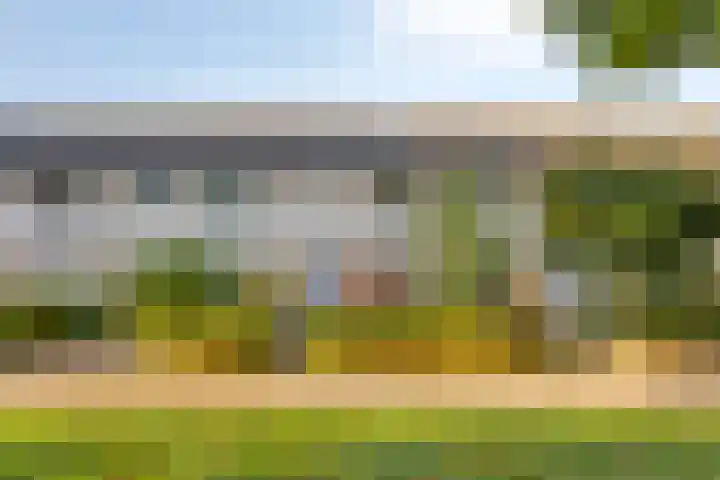 Gele Varaan 37 Heerhugowaard thumbnail 35