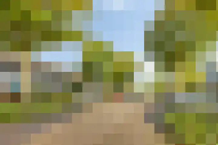 Gele Varaan 37 Heerhugowaard thumbnail 36