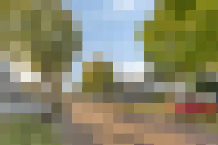 Gele Varaan 37 Heerhugowaard thumbnail 37