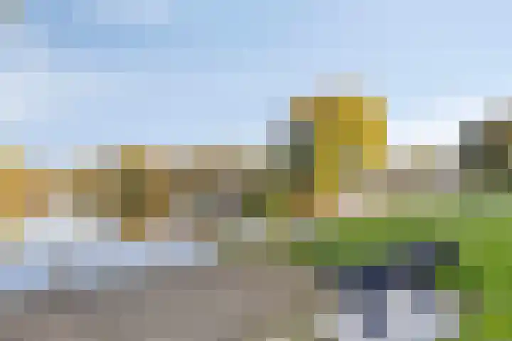 Gele Varaan 37 Heerhugowaard thumbnail 38