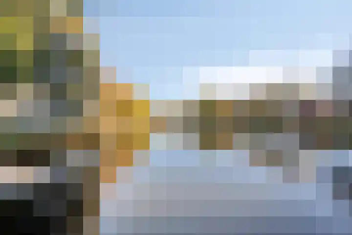 Gele Varaan 37 Heerhugowaard thumbnail 39