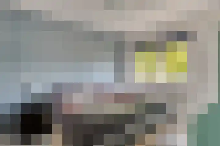 Gele Varaan 37 Heerhugowaard thumbnail 4