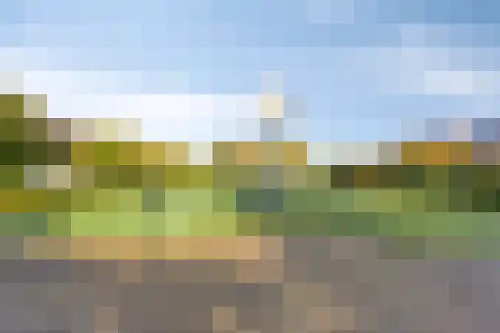 Gele Varaan 37 Heerhugowaard thumbnail 41