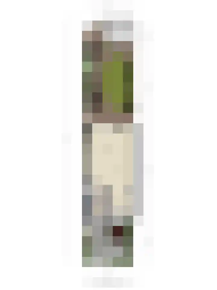 Gele Varaan 37 Heerhugowaard thumbnail 42