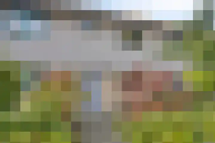 Gele Varaan 37 Heerhugowaard thumbnail 6