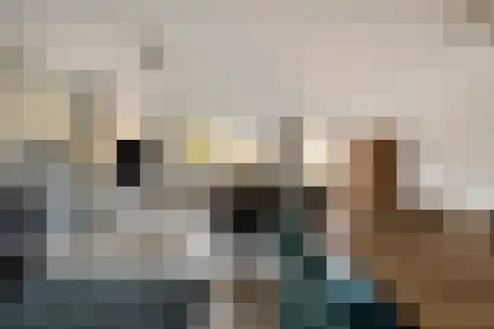 Gele Varaan 37 Heerhugowaard thumbnail 8