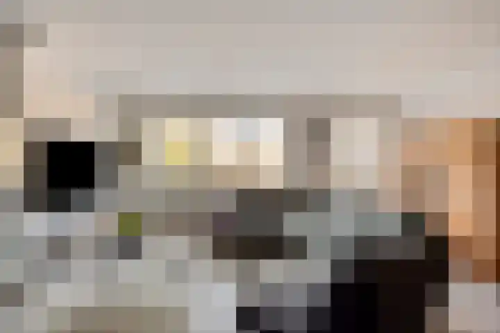Gele Varaan 37 Heerhugowaard thumbnail 9