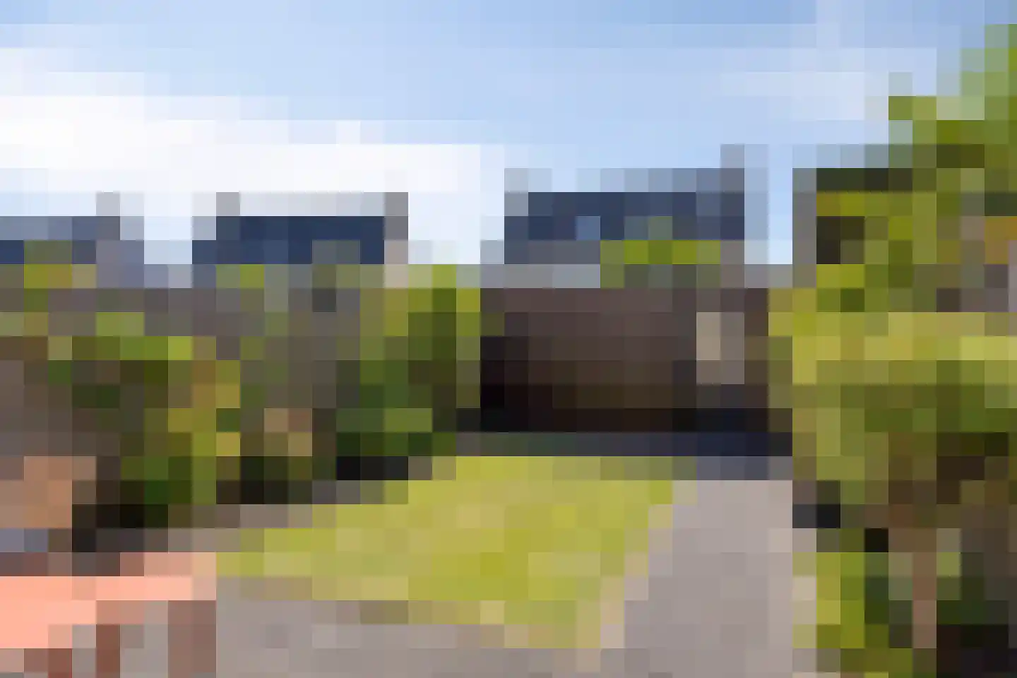 Gele Varaan 43 Heerhugowaard thumbnail 21