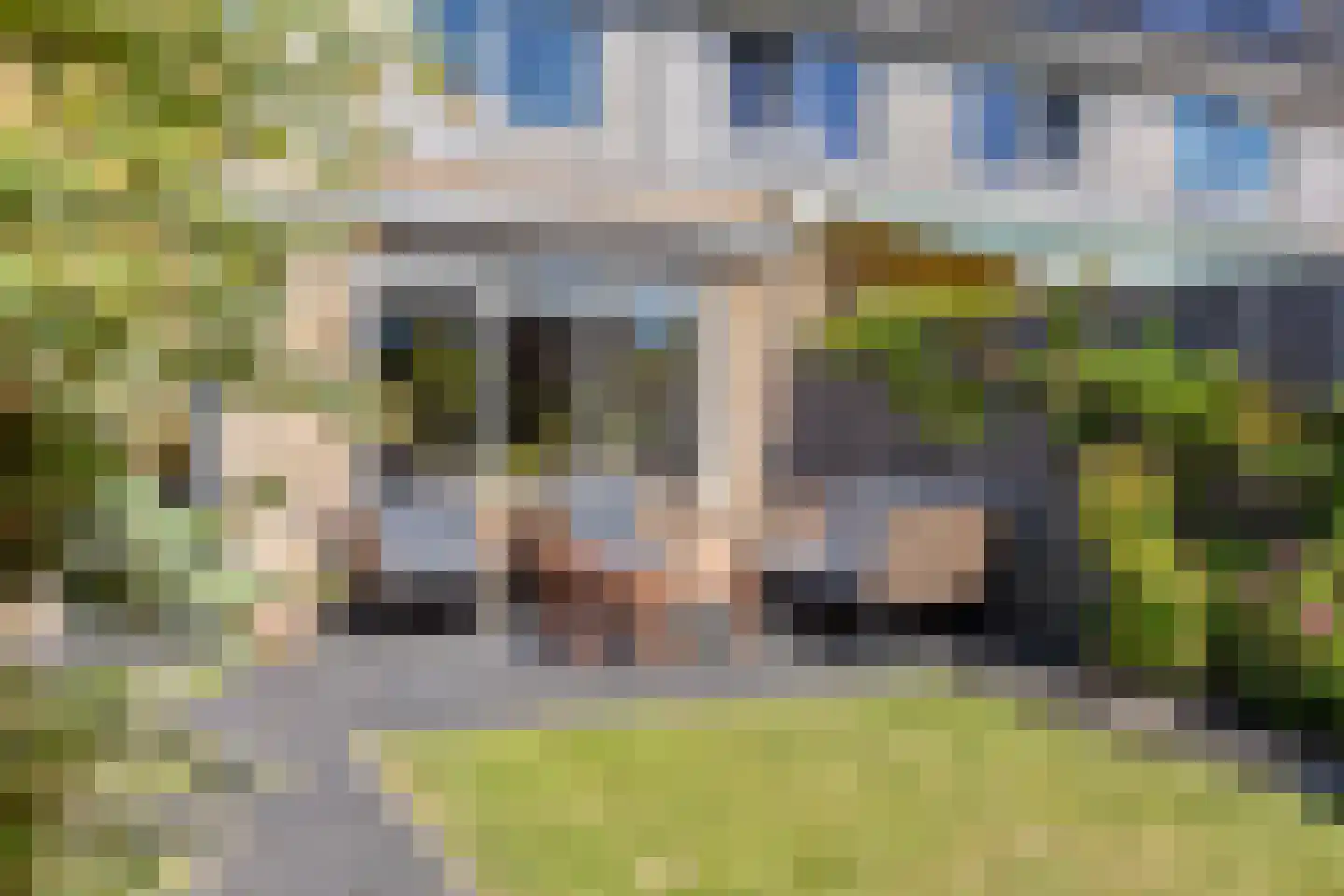 Gele Varaan 43 Heerhugowaard thumbnail 22