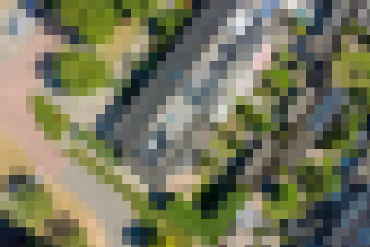 Gele Varaan 43 Heerhugowaard thumbnail 24
