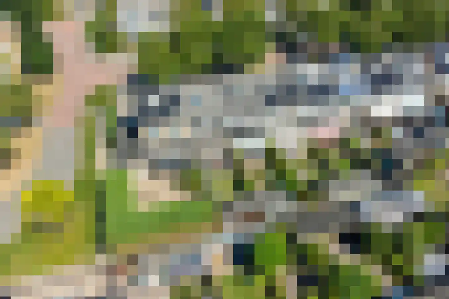 Gele Varaan 43 Heerhugowaard thumbnail 25