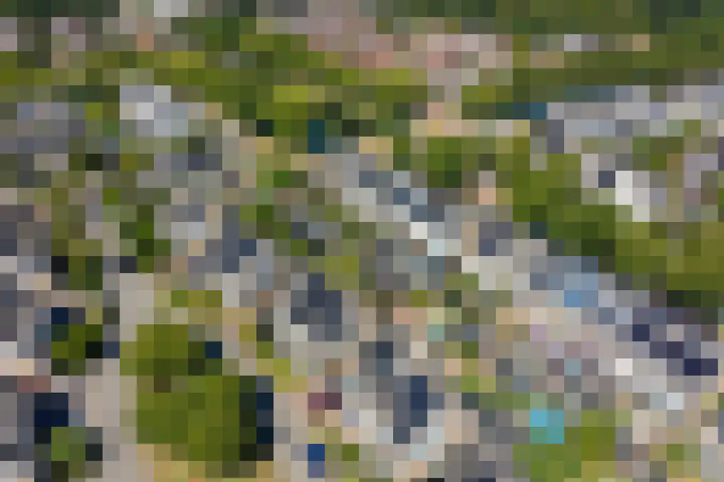 Gele Varaan 43 Heerhugowaard thumbnail 26